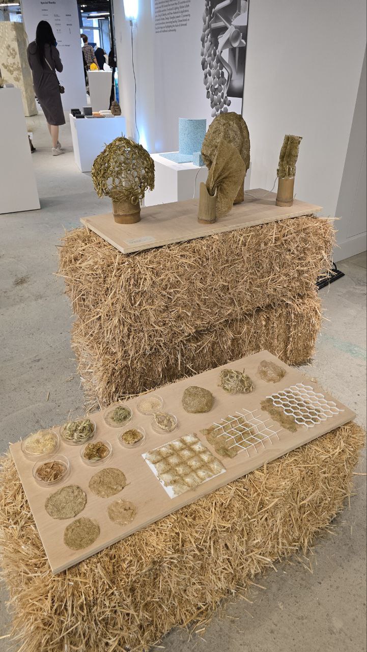 London Design Festival 2025: Highlights and Impressions